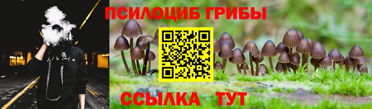 Щёлково  Галлюциногенные грибы Cubensis  Псилоцибиновые грибы мухоморы  Вход с VPN 